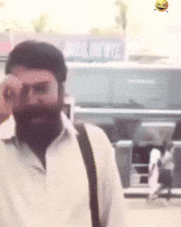 Mamm GIF