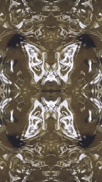 Break With The Inevitable GIF