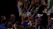 Golden State Warriors Fans GIF by NBA