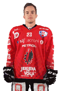 Hockey Hokej Sticker by HDD SIJ Acroni Jesenice