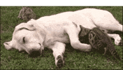 cuties spooning GIF