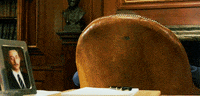 You Got It Reaction GIF