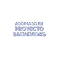 Monterrey Psv Sticker by Chemisette