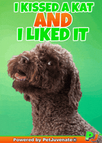 PetJuvenate henlo hooman fren love rescue dogs treatos and woofer for pupper sploot and snoot snuggle fur kid baby GIF