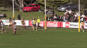 Smsafc GIF by St Mary's Salesian AFC