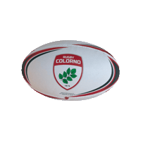 Sticker by Rugby Colorno