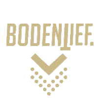 Logo Car Sticker by bodentief