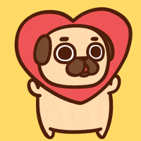 GIF by Puglie Pug