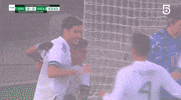 Liga Mx Football GIF by MiSelecciónMX