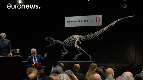 euronews giphygifmaker dinosaur auction euronews GIF