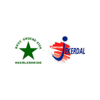 Sport Heerlen Sticker by Groene ster