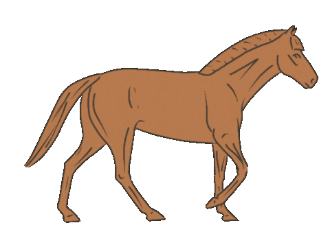 thedrawinghorse giphyupload Sticker