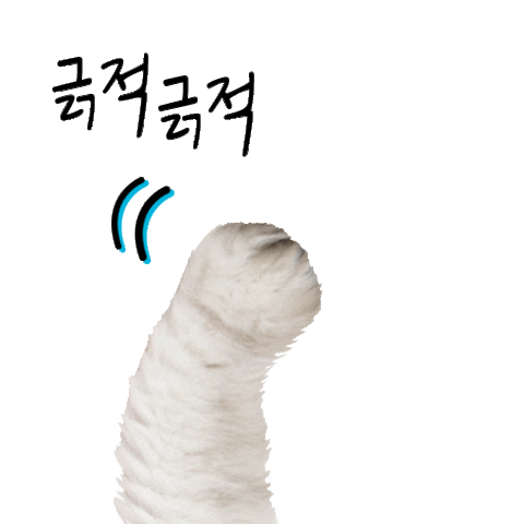 amorepacific_illiyoon giphyupload scratchy illiyoon n리윤 Sticker