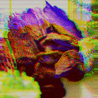 DrSoil drsoil doctorsoil apotheque GIF