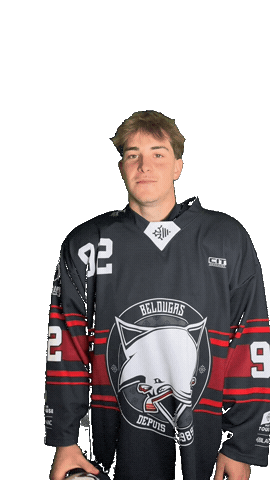 Hockey Toulouse Sticker by Bélougas