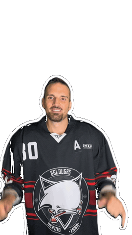 Hockey Toulouse Sticker by Bélougas