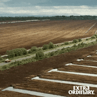 Extra Ordinary Movie GIF by Wildcard Distribution