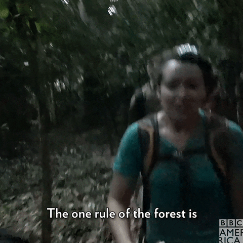 Behind The Scenes Forest GIF by BBC America