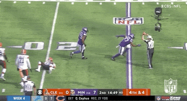 Minnesota Vikings Football GIF by NFL