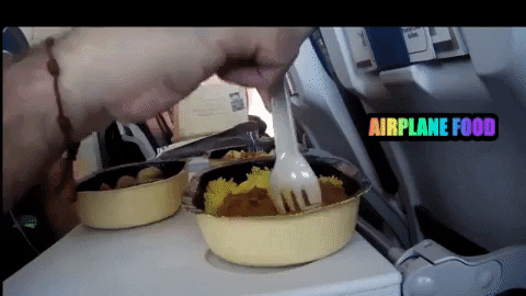 inflightfeed giphygifmaker inflight economy class airlinefood GIF
