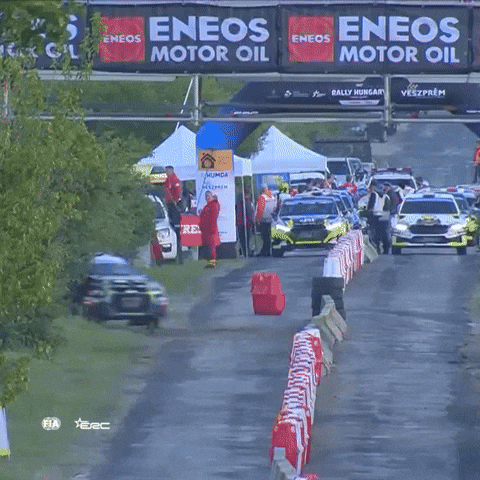 Wait For It Race GIF by FIA European Rally Championship