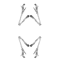 day of the dead dance Sticker by Peter Bjorn and John