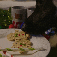 Happy Christmas Time GIF by Biden Inauguration Committee