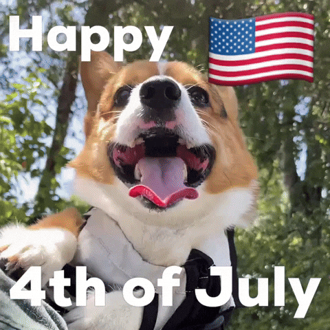 Happy 4Th Of July GIF