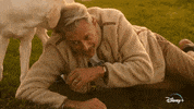 Jeff Goldblum Dogs GIF by National Geographic Channel