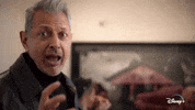 Jeff Goldblum Dogs GIF by National Geographic Channel