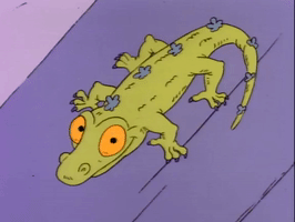 nicksplat rugrats GIF