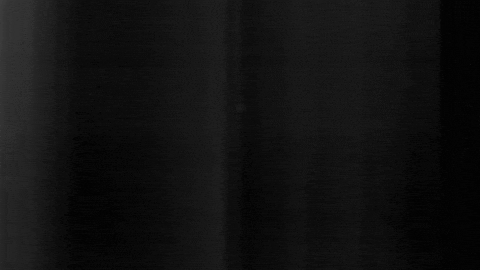 Football Sport GIF by SK Sturm Graz