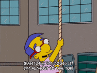 season 15 success GIF