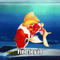 Joy Glow GIF by TheConfishius