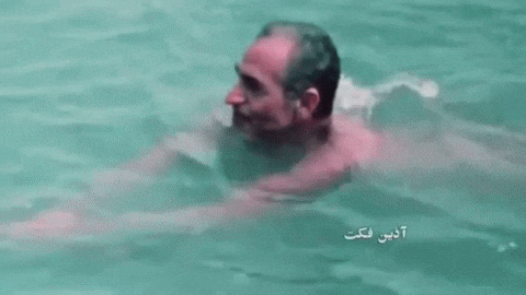 Iran Pahlavi GIF