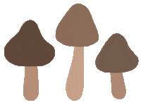 Plant Mushroom Sticker