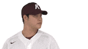 키움히어로즈 Sticker by Kiwoom Heroes Baseball Club