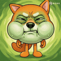 Bonkcoin GIF by BONK