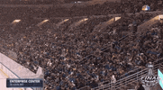 ice hockey sport GIF by NHL