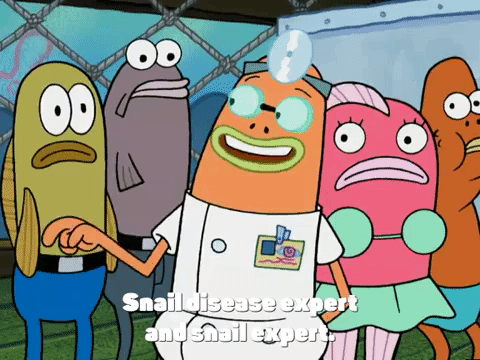 new leaf episode 13 GIF by SpongeBob SquarePants