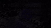 Crypto Nova GIF by ShibaNova
