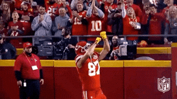 2018 Nfl Football GIF by NFL