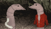 mark duplass cats GIF by Animals
