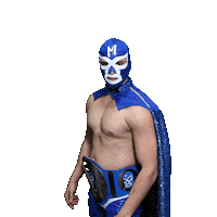 maskadorestacoshopaz wrestling wrestler lucha libre lucha Sticker