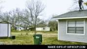 roof GIF