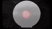 GIF by Filmin