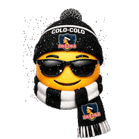 Colo-Colo Invierno Sticker