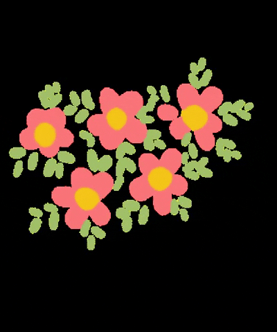 Estudioblackfisk giphygifmaker estudioblackfisk GIF