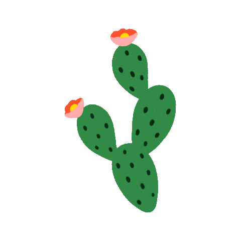 Texas Cactus Sticker by Have A Nice Day