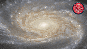 Awesome Nasa GIF by ESA/Hubble Space Telescope